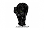 Jaguar Yayınları