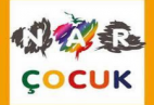 Nar Yayınları